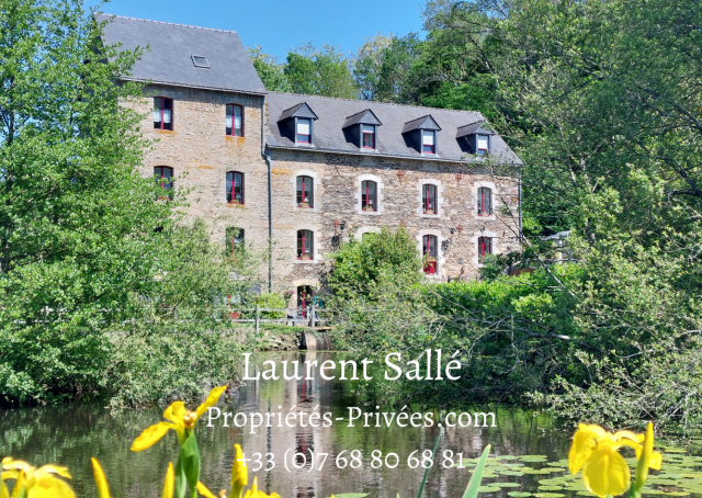 Moulin: Gtes / Chambres d'htes  (621 m2)